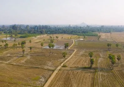 Land & Plot Sales